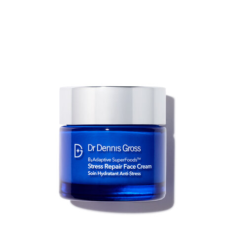 DR. DENNIS GROSS Stress Repair Face Cream | @violetgrey