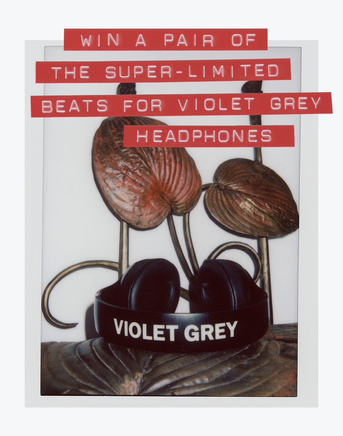 Win The Violet Holiday Giveaway |  #VioletGrey, The Industry's Beauty Edit